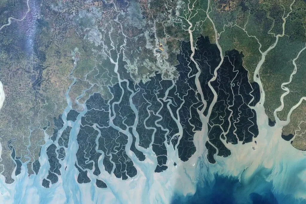 A composite Landsat image of the Ganges delta taken in 1999 and 2000. The Sundarbans is deep green. Photo credits NASA