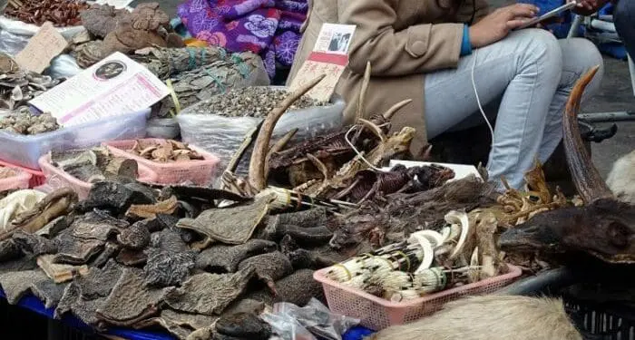 Mongla vendor of wildlife products. Photo