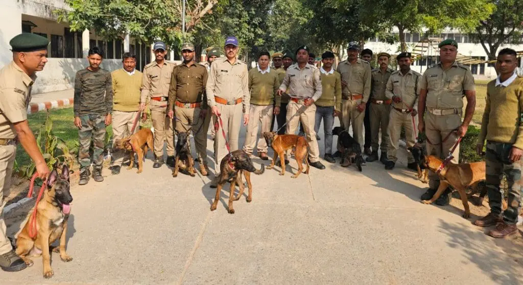 Photo credits TRAFFIC