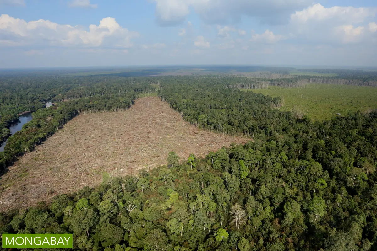 Nearly half of plantations in Riau province, Indonesia’s palm oil heartland, are illegal, according to a new report by the Eyes on the Forest, a coalition of NGOs based in Sumatra. Source: Mongabay