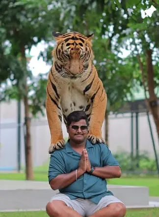 Thailand tiger tourism