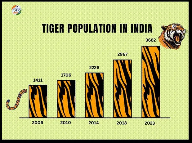 Infographic Tiger Population India