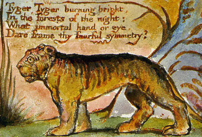 Detail of William Blake's illustration for his poem, 'The Tyger.' Source: Wikimedia Commons.
