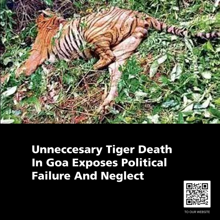 Unneccesary Tiger Death