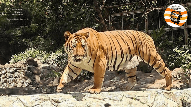 Byculla zoo