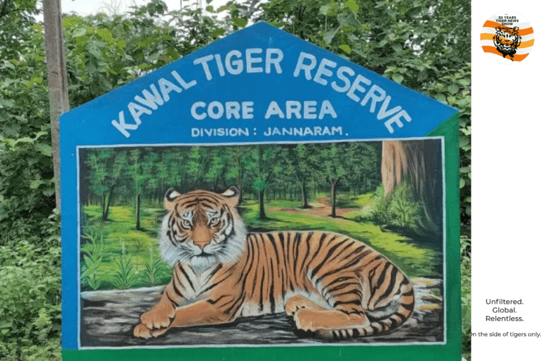 Kawal corridors