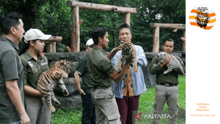 Taman Safari
