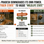 Tiger State