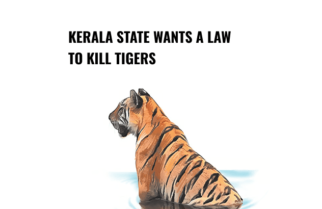 Kerala nonsense