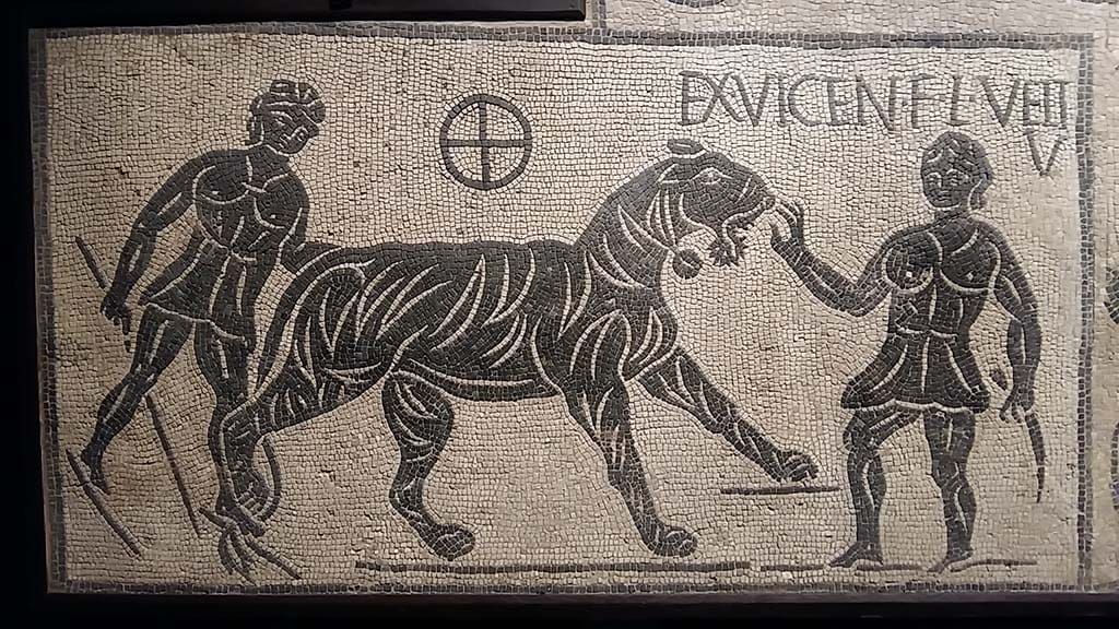 Tiger Mosaic Castra Praetoria, Rome