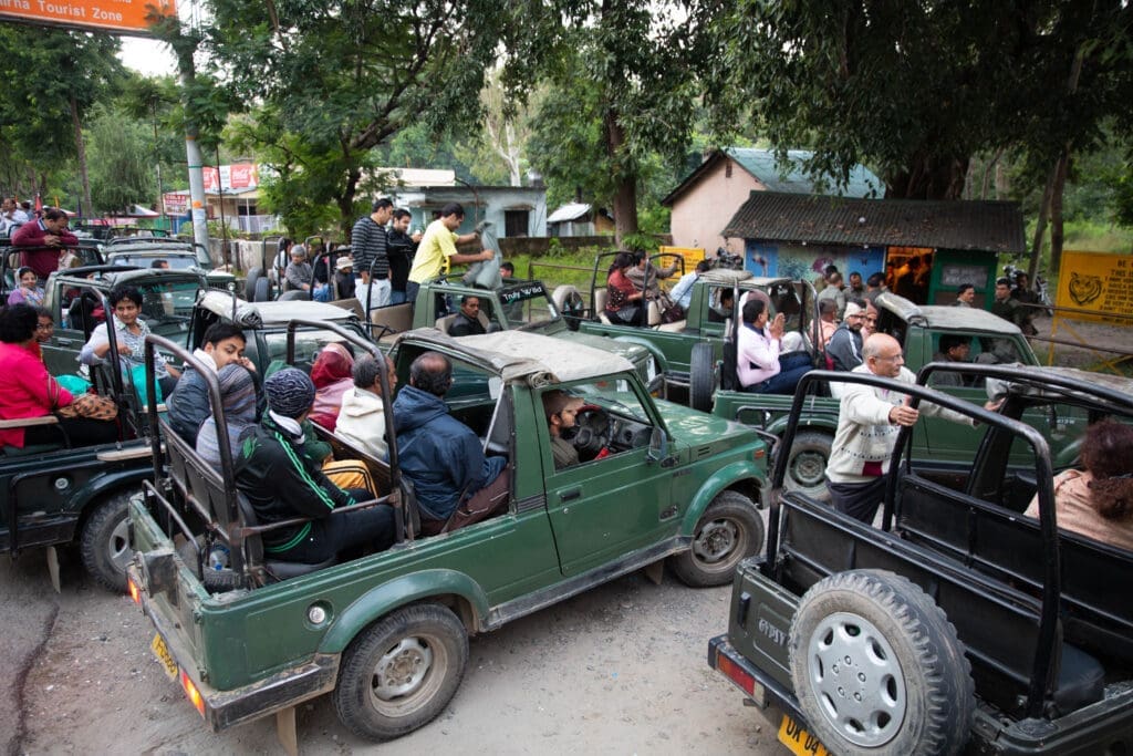 Standard waiting procedure at Indian tiger reserves