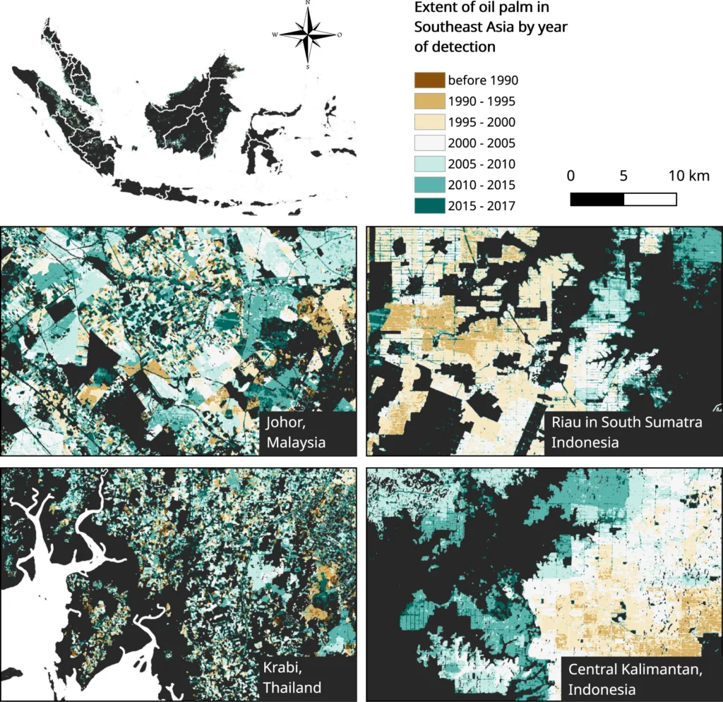 The extent and year of detection of oil palm plantations zoomed into four locations: Krabi, Thailand, Johor in Malaysia, Central Kalimantan and Riau in South Sumatra, Indonesia. Credits: Nature.com - scientific data.