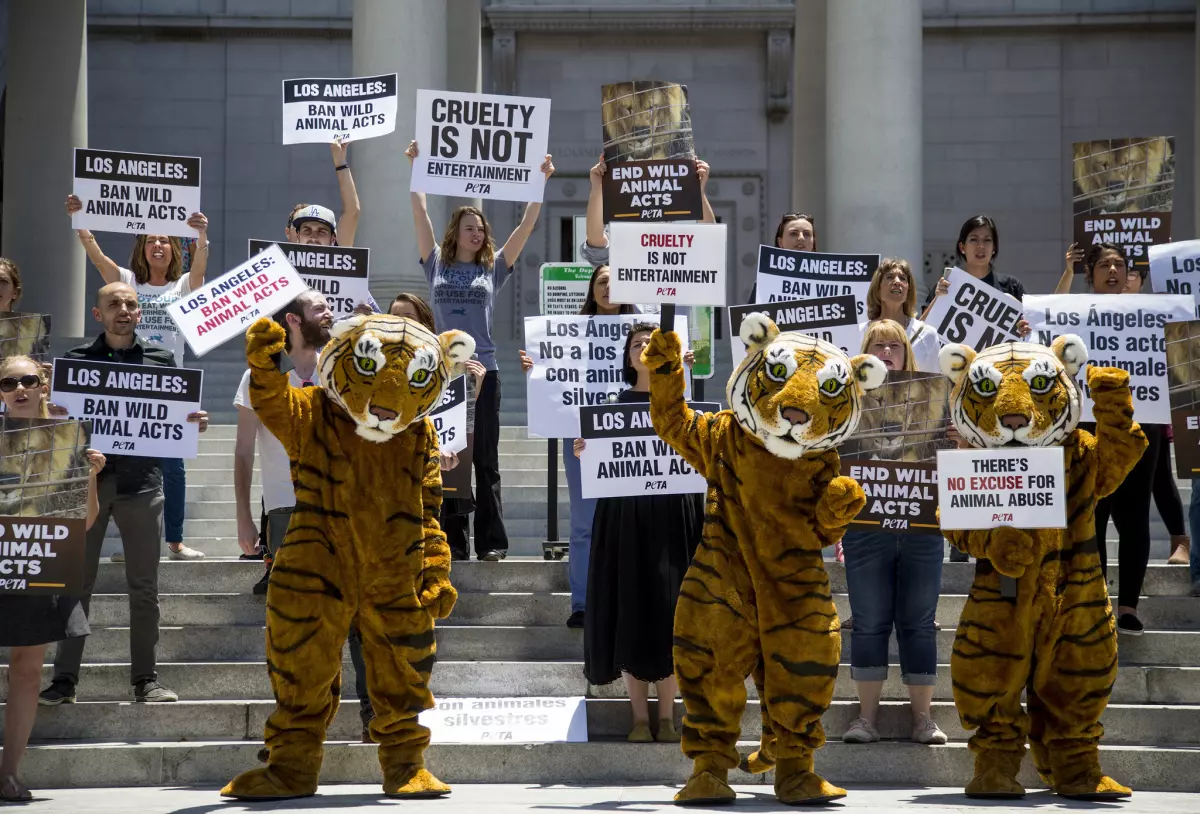 Tiger protestors
