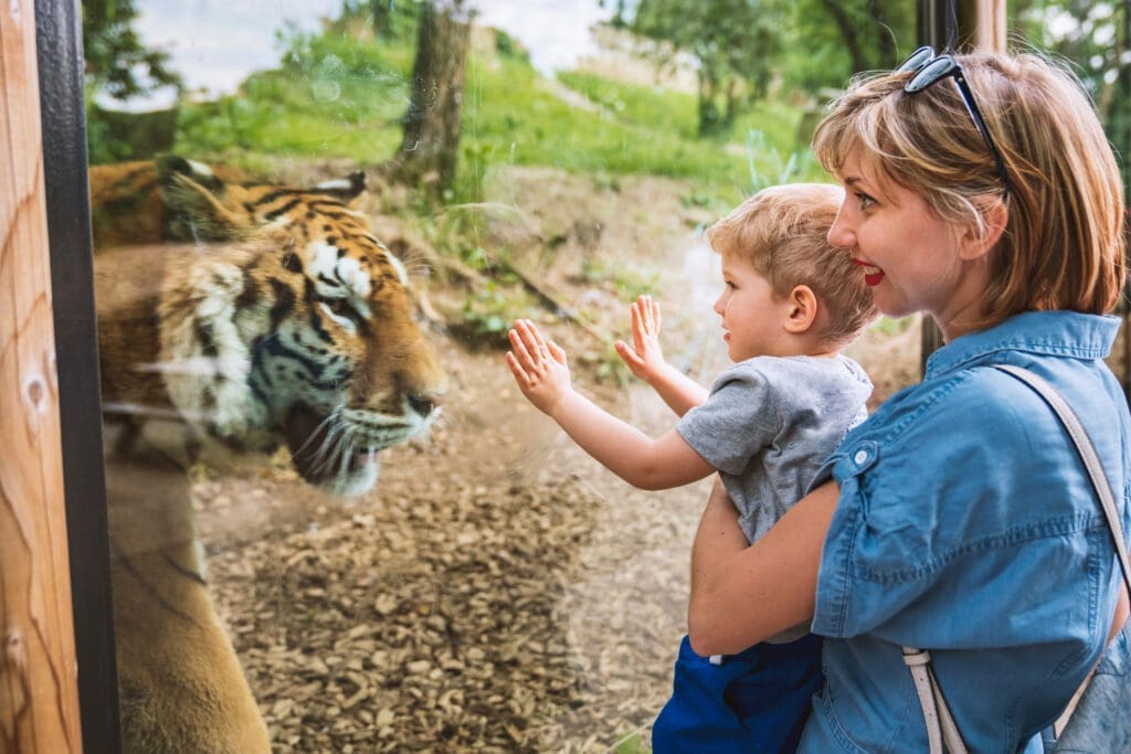 Visitors tiger zoos
