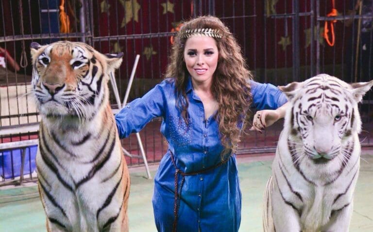 Egypt circus