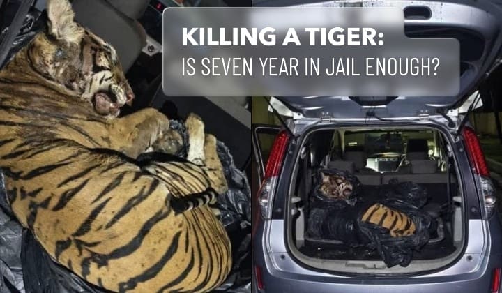 Seven year sentence