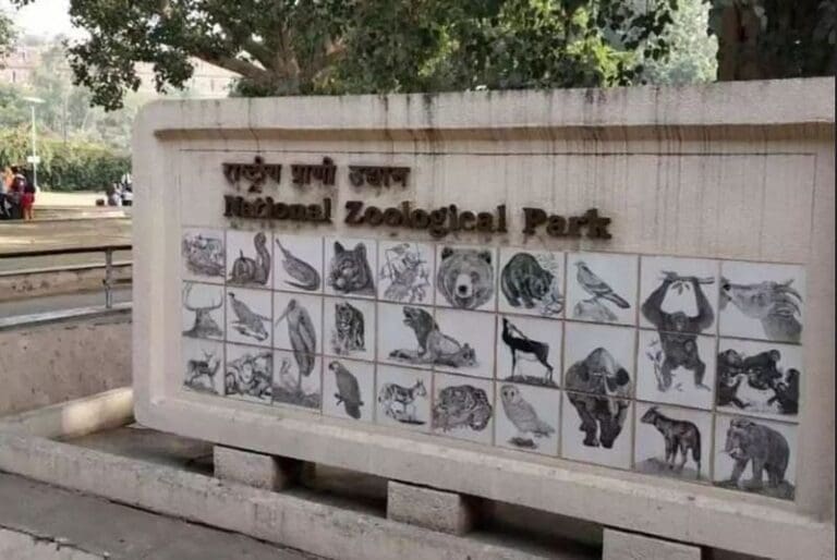 Worst zoo in the world