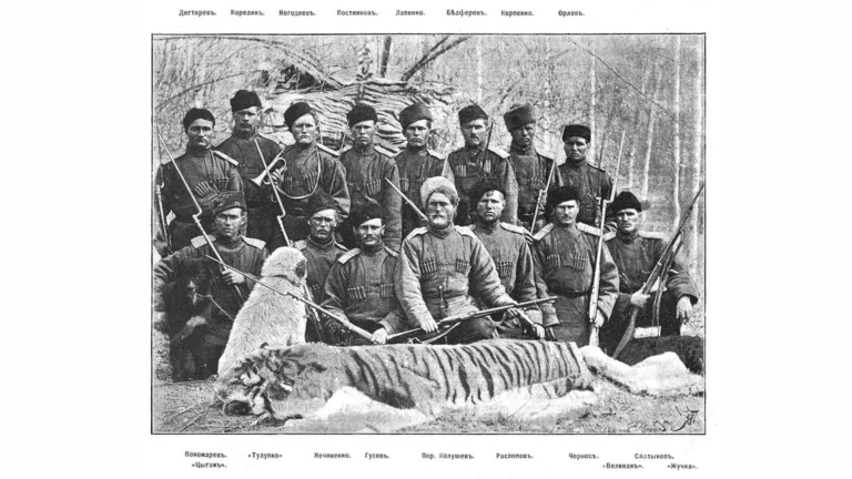 Turan tiger