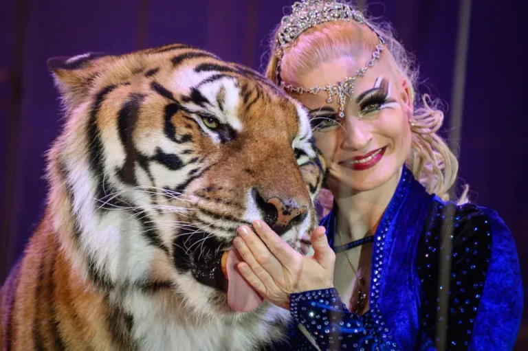 Tiger Queen